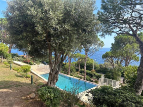 Stunning view and pool big studio best location